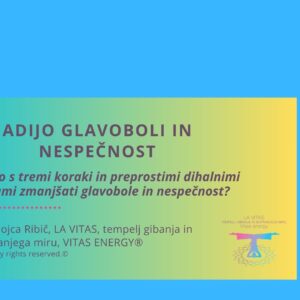 Emini knjiga ADIJO GLAVOBOLI IN NESPEČNOST